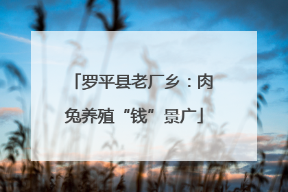 罗平县老厂乡：肉兔养殖“钱”景广