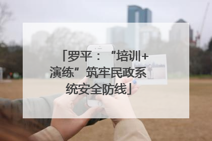 罗平：“培训+演练”筑牢民政系统安全防线