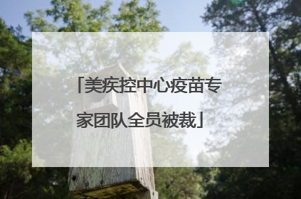 美疾控中心疫苗专家团队全员被裁