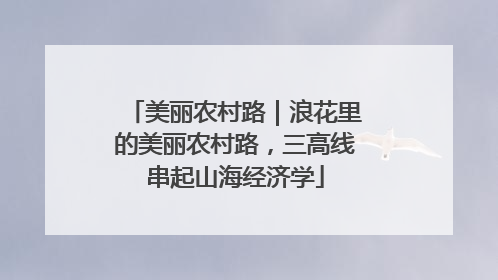 美丽农村路｜浪花里的美丽农村路，三高线串起山海经济学