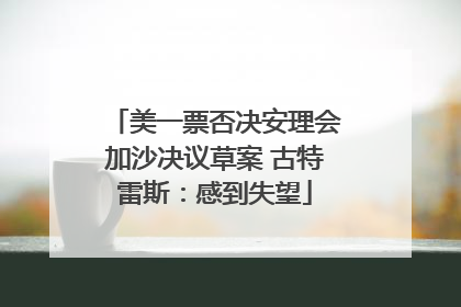 美一票否决安理会加沙决议草案 古特雷斯：感到失望