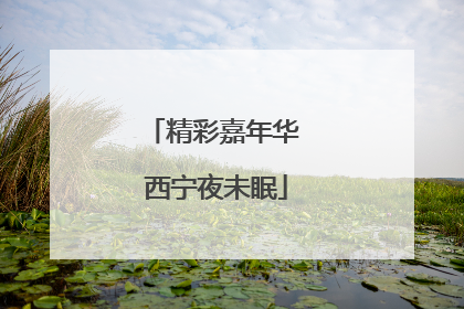精彩嘉年华 西宁夜未眠