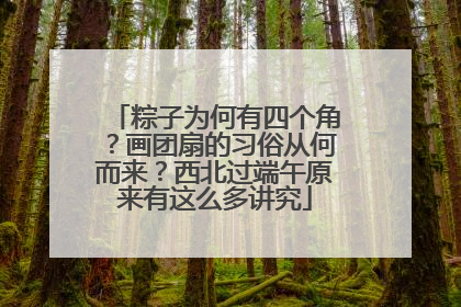 粽子为何有四个角？画团扇的习俗从何而来？西北过端午原来有这么多讲究