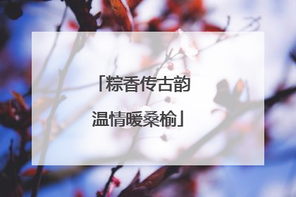 粽香传古韵 温情暖桑榆