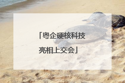粤企硬核科技亮相上交会