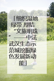 细织湿地绿带 厚结“文旅明珠”——中法武汉生态示范城挖掘绿色发展新动能