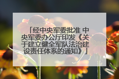经中央军委批准 中央军委办公厅印发《关于建立健全军队法治建设责任体系的通知》