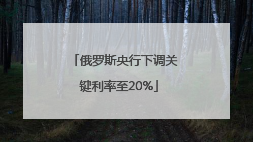 俄罗斯央行下调关键利率至20%