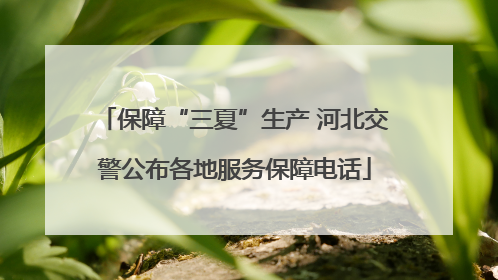 保障“三夏”生产 河北交警公布各地服务保障电话