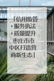 信用监管+服务执法+质量提升 枣庄市市中区打造营商新生态