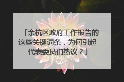余杭区政府工作报告的这些关键词条，为何引起代表委员们热议？
