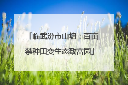 临武汾市山塘：百亩禁种田变生态致富园