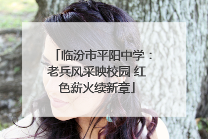 临汾市平阳中学：老兵风采映校园 红色薪火续新章