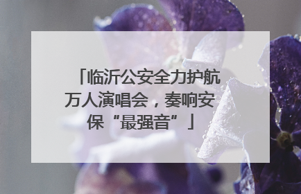 临沂公安全力护航万人演唱会，奏响安保“最强音”