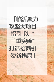 临沂聚力攻坚大项目招引 以“三重突破”打造招商引资新格局