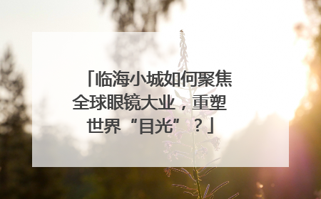临海小城如何聚焦全球眼镜大业，重塑世界“目光”？
