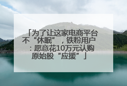 为了让这家电商平台不“休眠”，铁粉用户：愿意花10万元认购原始股“应援”