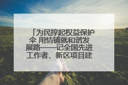为民撑起权益保护伞 用情铺就和谐发展路——记全国先进工作者、新区项目建设中心干部卢小勇