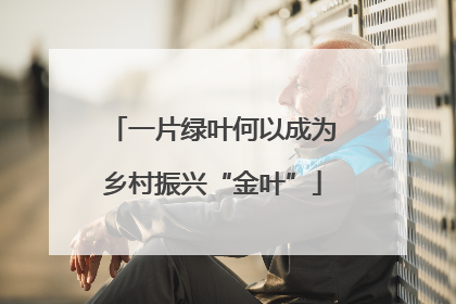 一片绿叶何以成为乡村振兴“金叶”