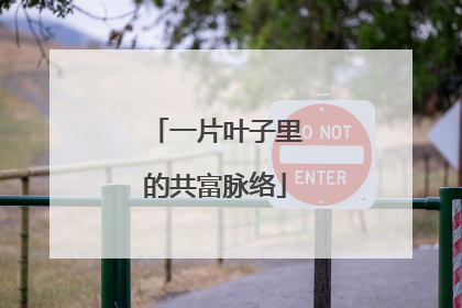 一片叶子里的共富脉络