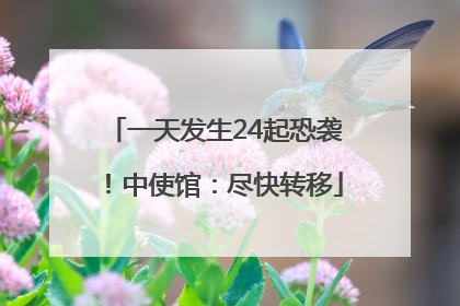一天发生24起恐袭！中使馆：尽快转移