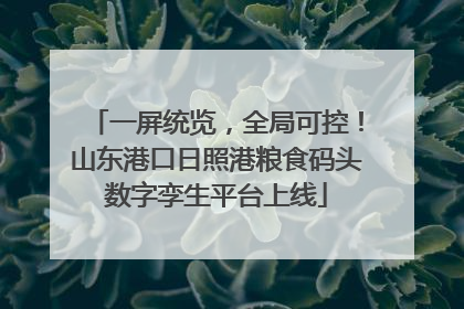 一屏统览，全局可控！山东港口日照港粮食码头数字孪生平台上线
