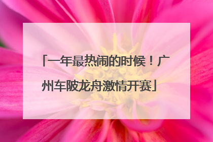一年最热闹的时候！广州车陂龙舟激情开赛