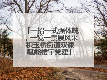 一招一式强体魄，一镜一景展风采 积玉桥街道双课赋能楼宇党建