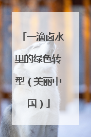 一滴卤水里的绿色转型（美丽中国）