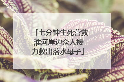 七分钟生死营救 淮河岸边众人接力救出落水母子