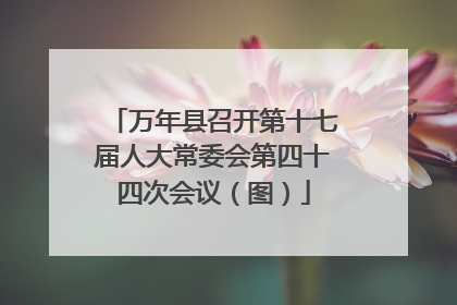 万年县召开第十七届人大常委会第四十四次会议（图）