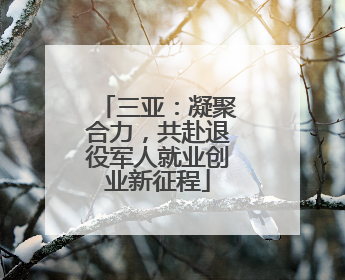 三亚：凝聚合力，共赴退役军人就业创业新征程