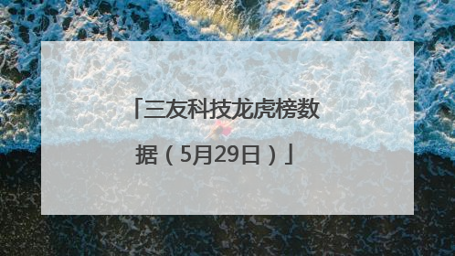 三友科技龙虎榜数据（5月29日）