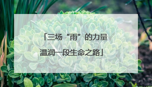 三场“雨”的力量温润一段生命之路