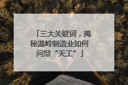 三大关键词，揭秘温岭制造业如何问鼎“天工”