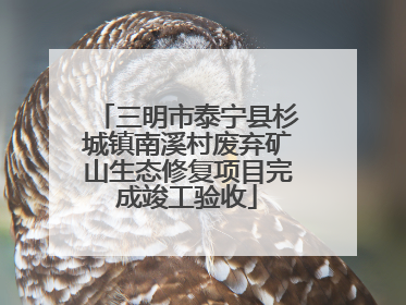 三明市泰宁县杉城镇南溪村废弃矿山生态修复项目完成竣工验收