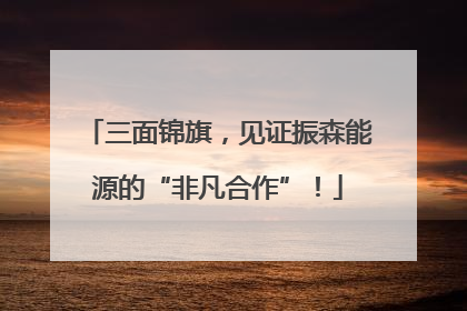 三面锦旗，见证振森能源的“非凡合作”！