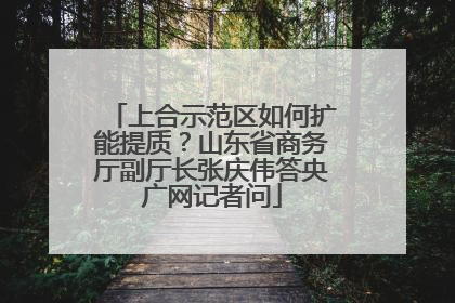 上合示范区如何扩能提质？山东省商务厅副厅长张庆伟答央广网记者问