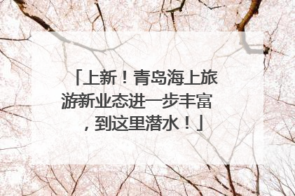 上新！青岛海上旅游新业态进一步丰富，到这里潜水！