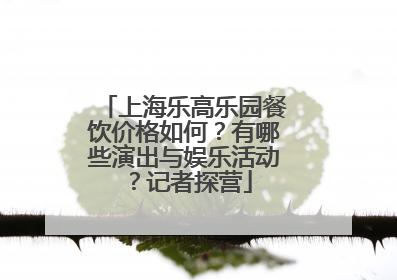 上海乐高乐园餐饮价格如何？有哪些演出与娱乐活动？记者探营