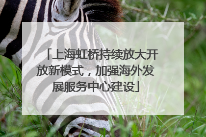 上海虹桥持续放大开放新模式，加强海外发展服务中心建设