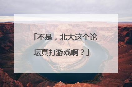 不是，北大这个论坛真打游戏啊？