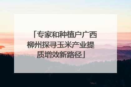 专家和种植户广西柳州探寻玉米产业提质增效新路径