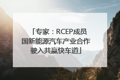 专家：RCEP成员国新能源汽车产业合作驶入共赢快车道