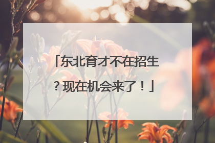 东北育才不在招生？现在机会来了！