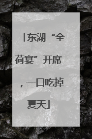 东湖“全荷宴”开席，一口吃掉夏天