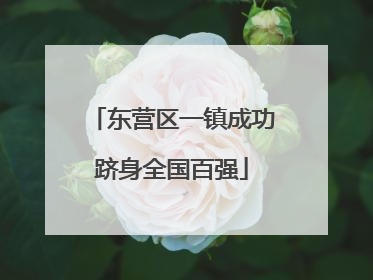 东营区一镇成功跻身全国百强