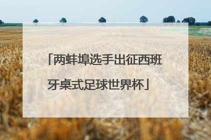 两蚌埠选手出征西班牙桌式足球世界杯