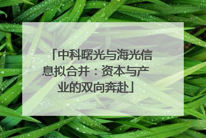 中科曙光与海光信息拟合并：资本与产业的双向奔赴