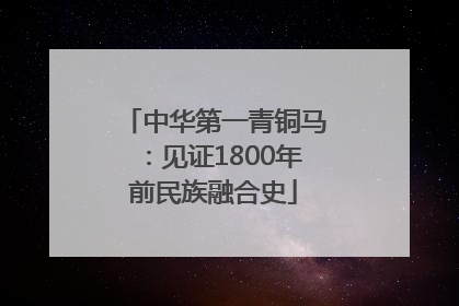 中华第一青铜马：见证1800年前民族融合史